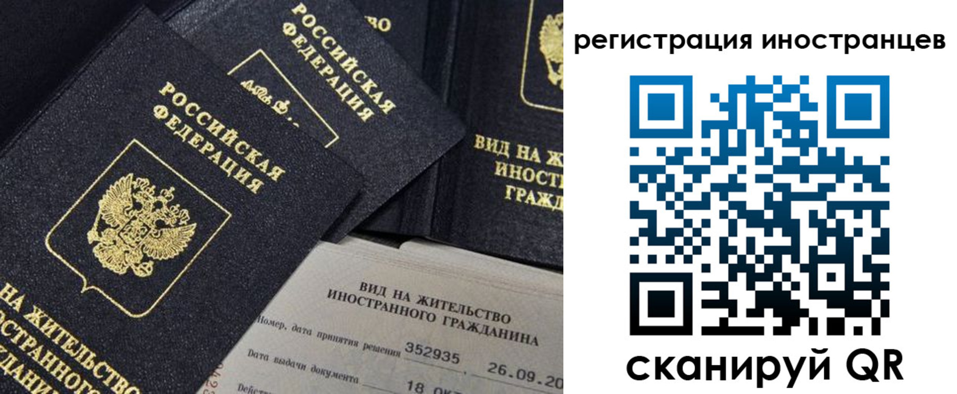 временная регистрация гарантия в Светлом